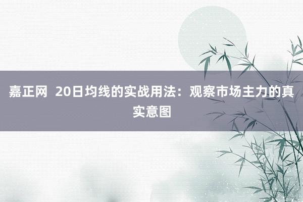 嘉正网  20日均线的实战用法：观察市场主力的真实意图