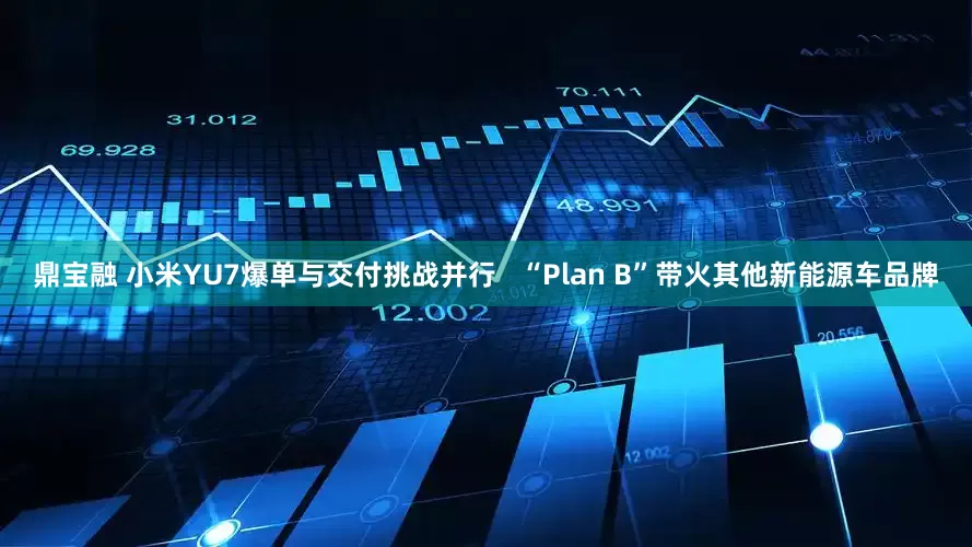 鼎宝融 小米YU7爆单与交付挑战并行   “Plan B”带火其他新能源车品牌